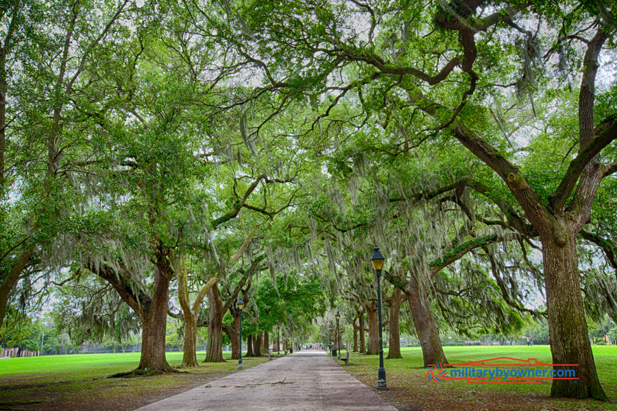 FamilyFriendly Homes Near Robins AFB,